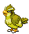 Shiny Pidgey
