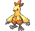 Shiny Combusken