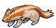 Shiny Linoone