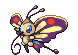 Shiny Beautifly